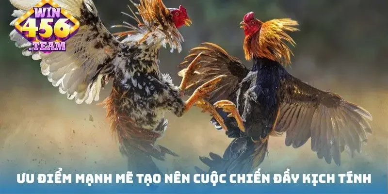 Ưu điểm mạnh mẽ tạo nên cuộc chiến đầy kịch tính